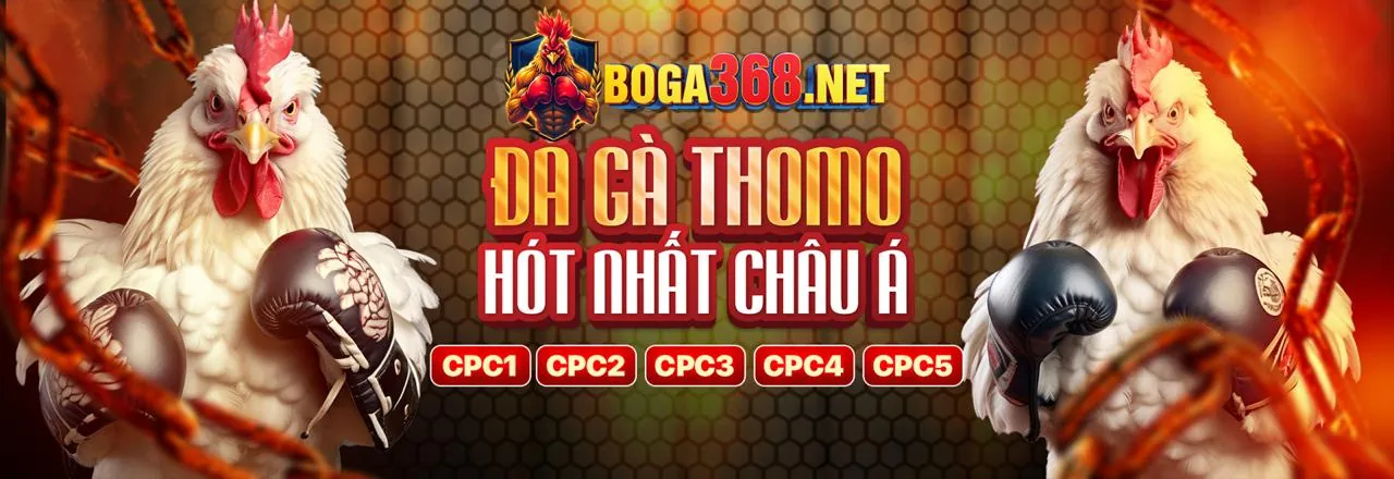 Hệ thống bảo mật w66 link mới